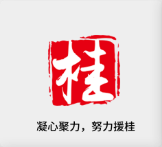 聚焦产业，努力援桂